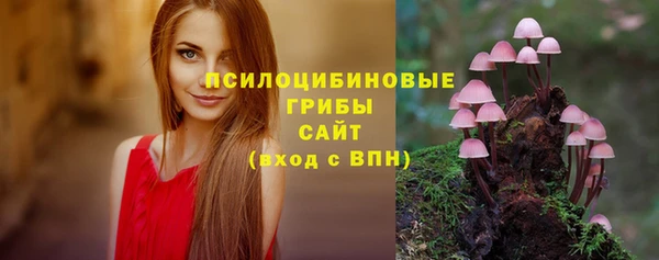марки lsd Абаза