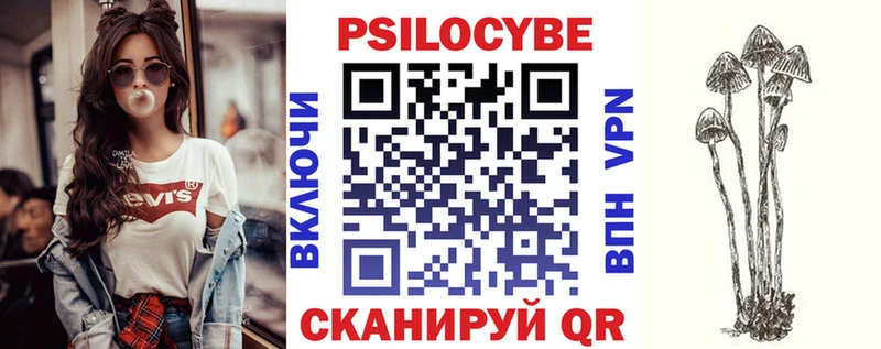 blacksprut рабочий сайт  Вилючинск  Псилоцибиновые грибы Psilocybine cubensis 